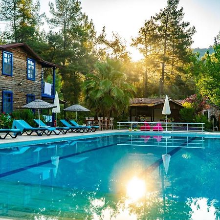 מלון Yazir  Olympos Forest House מראה חיצוני תמונה
