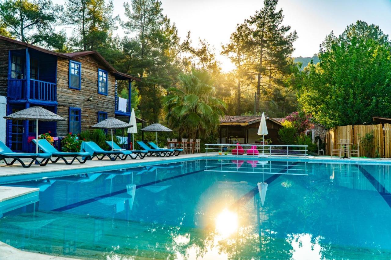 מלון Yazir  Olympos Forest House מראה חיצוני תמונה